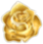 รายละเอียด gold-icon-png-11552743074jiegkvqitv-removebg-preview.png